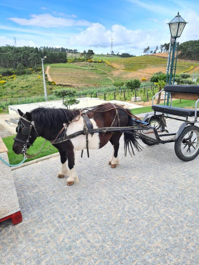 Quinta Da Laceira - Douro Valley - Alojamento Local Vila Real Zewnętrze zdjęcie